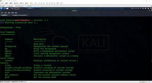 網絡安全滲透中的客戶端惡意軟件開發(fā) Windows與Linux平臺